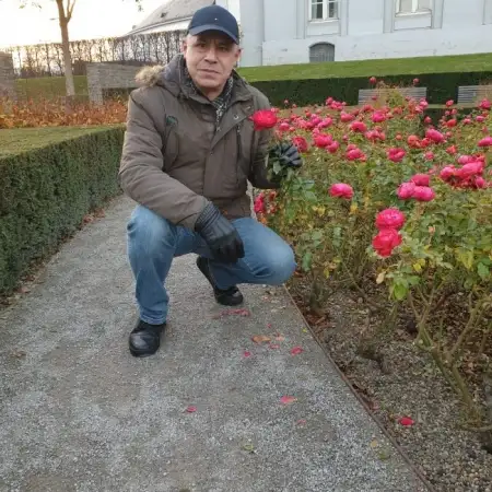 Ovnan, 62 Koblenz, Germany